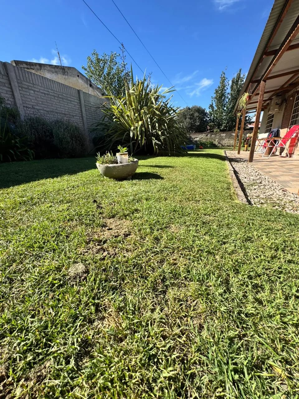 Mantenimiento general de jardines,parque,y terrenos baldíos no dudes en consultarnos!!! — foto 1