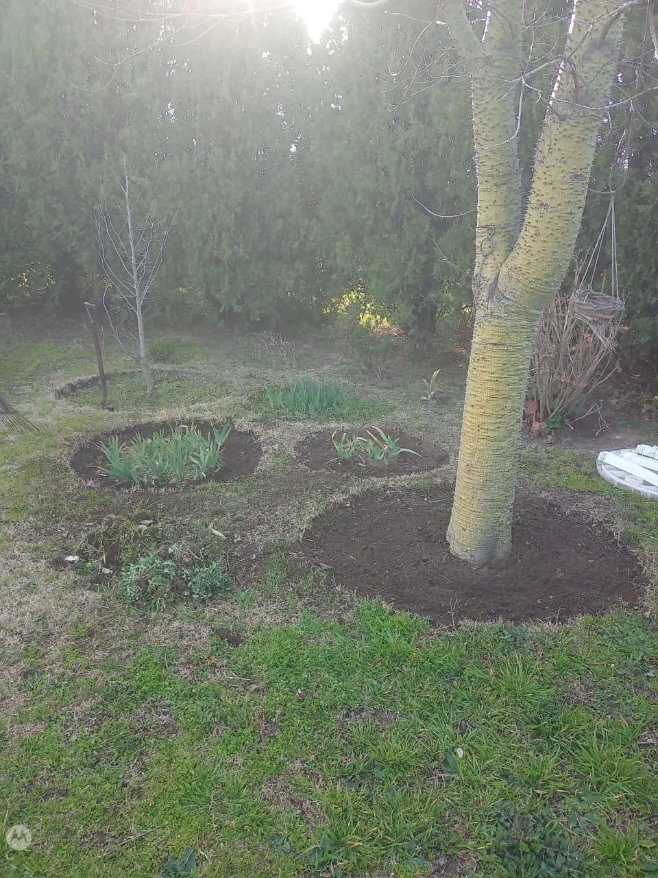 Mantenimiento general de jardines,parque,y terrenos baldíos no dudes en consultarnos!!! — foto 2
