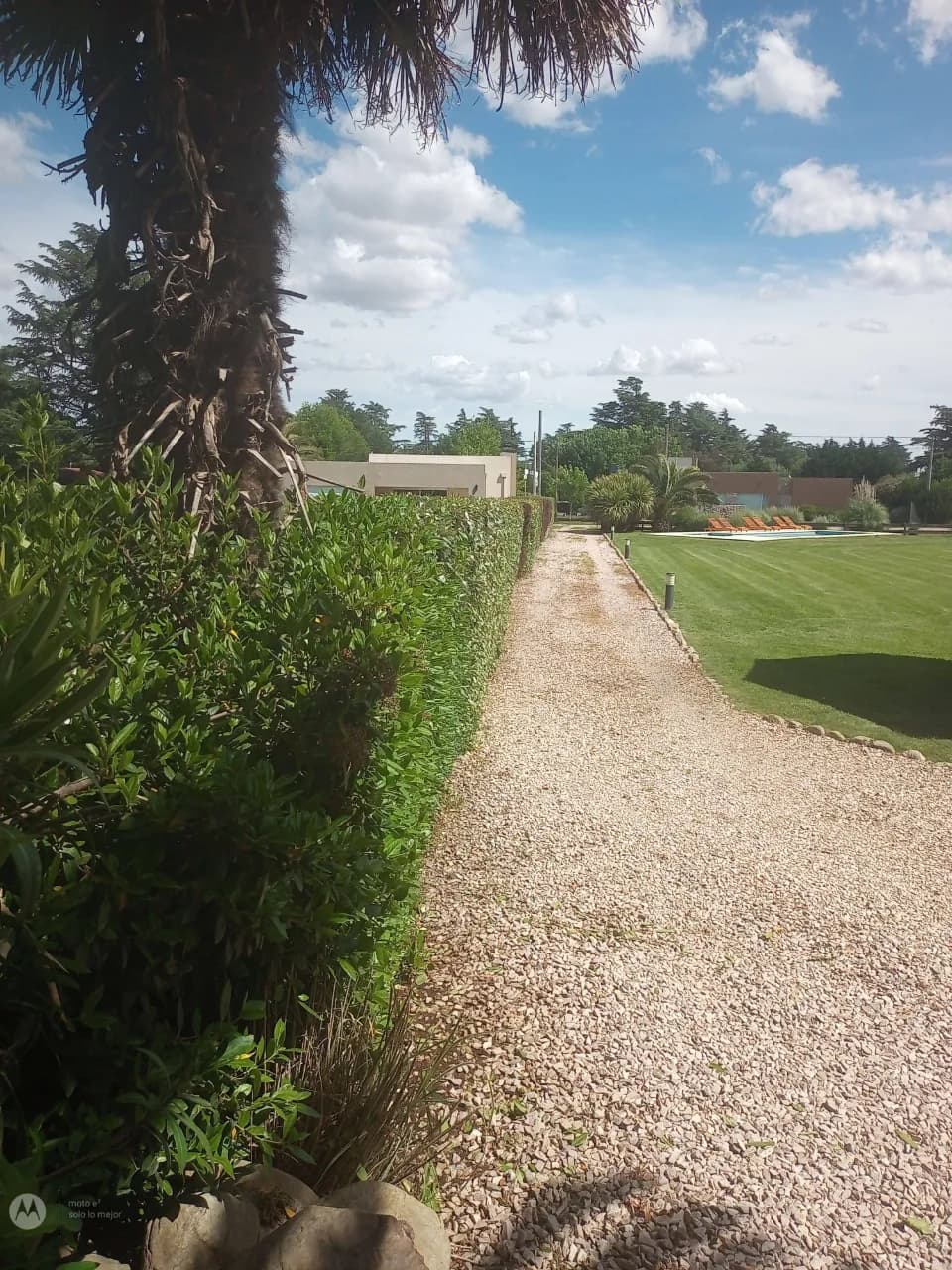 Mantenimiento general de jardines,parque,y terrenos baldíos no dudes en consultarnos!!! — foto 3